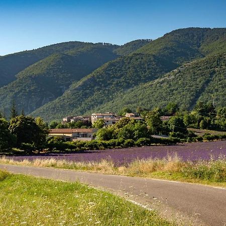 Gite La Lavande Luberon - Vantrois Residences Auribeau Exterior foto